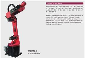 BRIR801-5六轴工业机器人